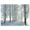 Designart - Winter Trees Backlit by Morning Sun - Large Forest Canvas Art Print